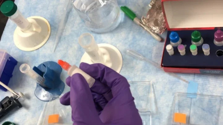 A purple-gloved hand working with lab vials.