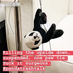 Panda plush.